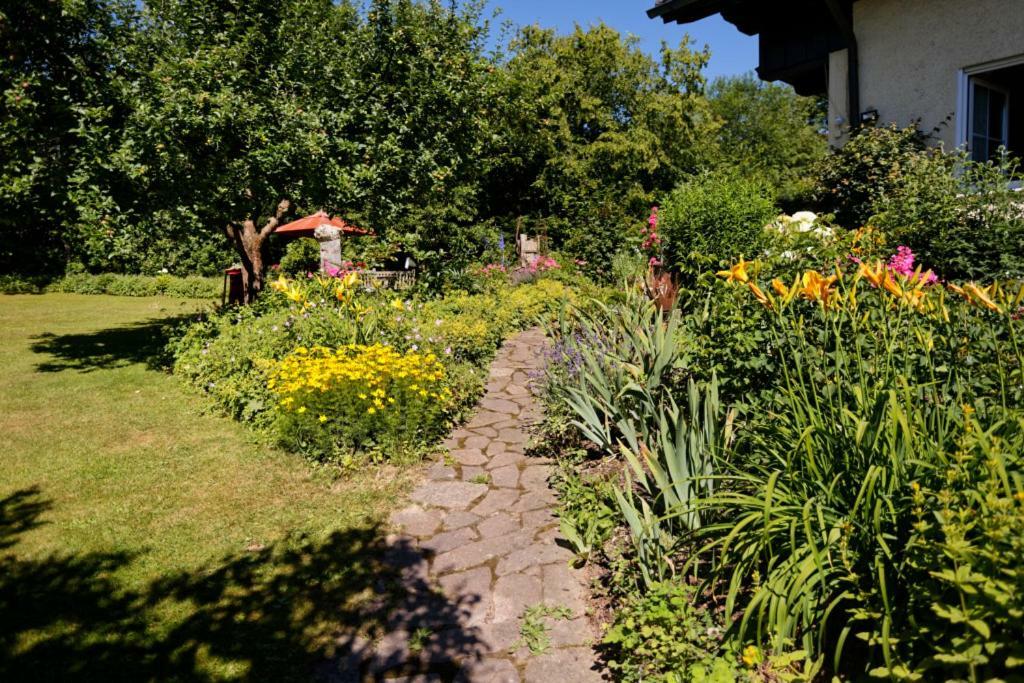 Landhaus Bernecker, Bay.W. Rinchnach エクステリア 写真