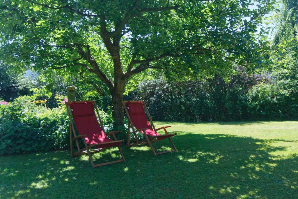 Landhaus Bernecker, Bay.W. Rinchnach エクステリア 写真